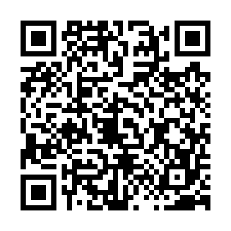 QR code for H697569