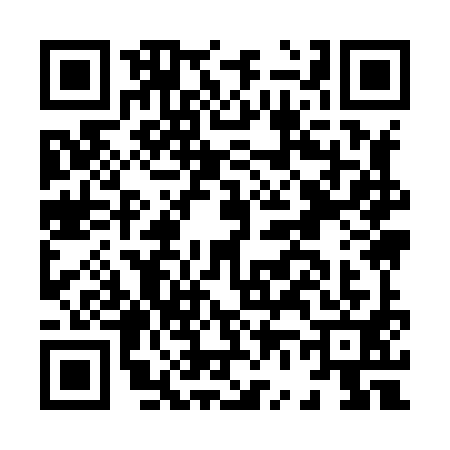 QR code for H698911