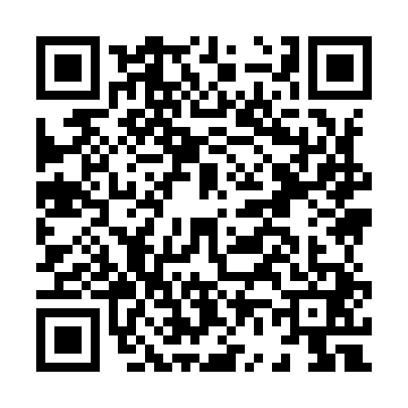 QR code for H699416