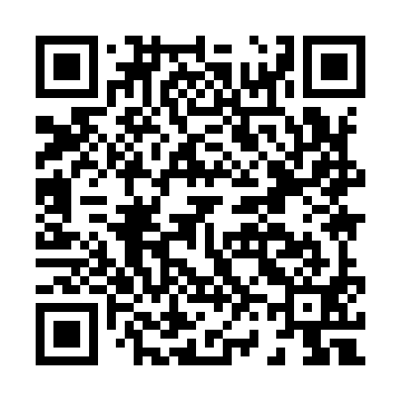 QR code for H69991