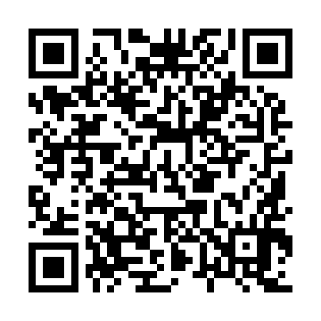 QR code for H69994