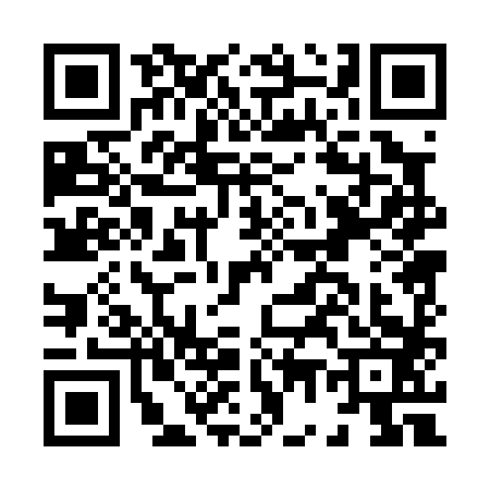 QR code for H700833