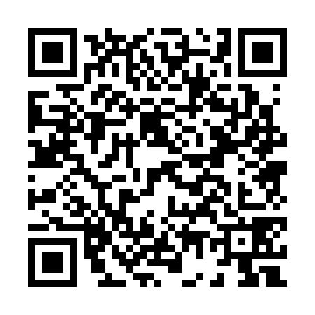QR code for H703787