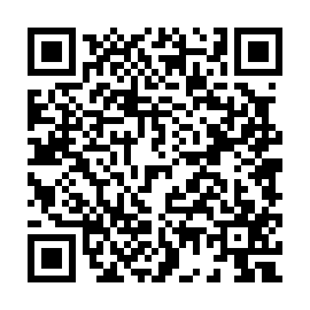 QR code for H740176