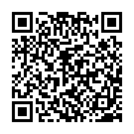 QR code for H74393