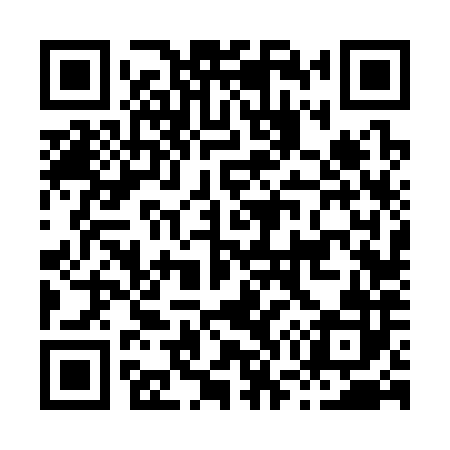 QR code for H76382
