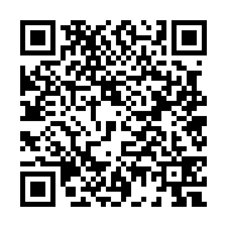 QR code for H770394