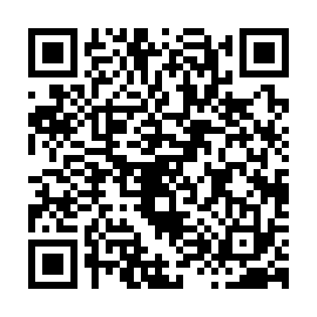 QR code for H803333