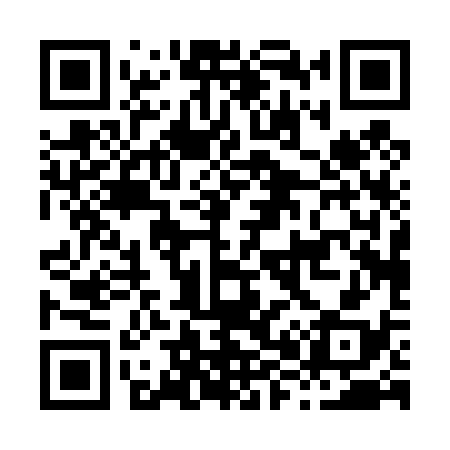 QR code for H80438