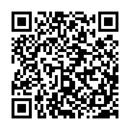 QR code for H80594