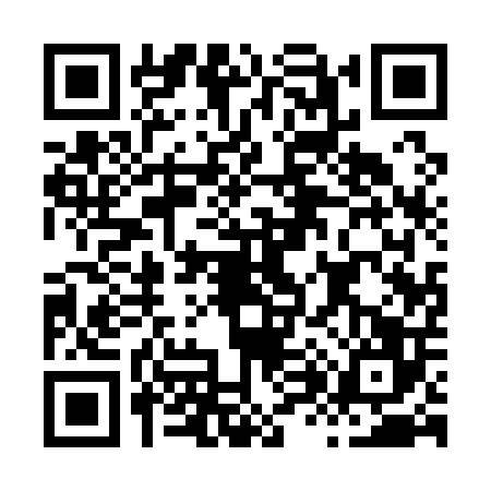 QR code for H811066