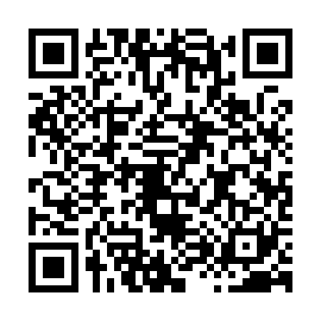 QR code for H819218