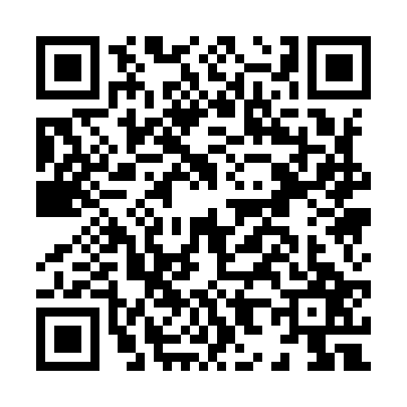 QR code for H819273