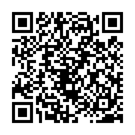 QR code for H824378