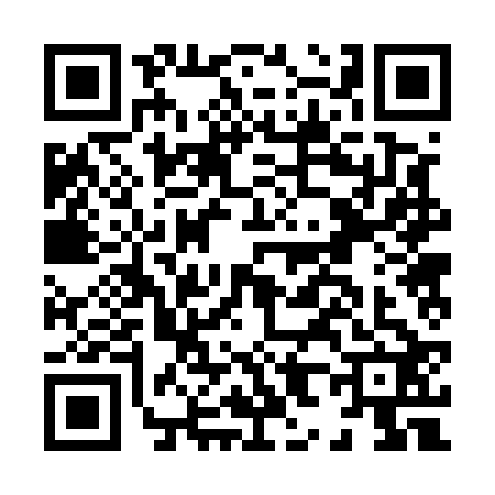 QR code for H825225