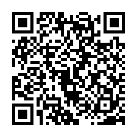 QR code for H833329