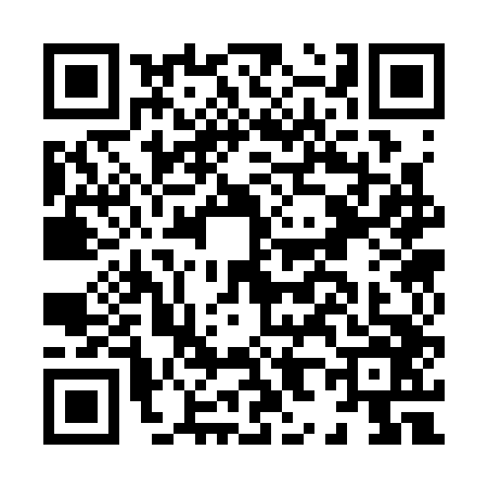 QR code for H833461