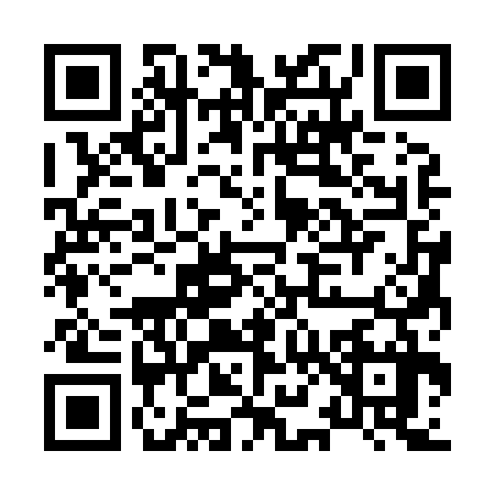 QR code for H838374