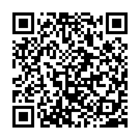 QR code for H85199