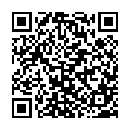QR code for H86006