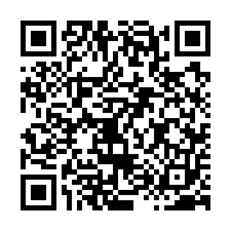 QR code for H867533