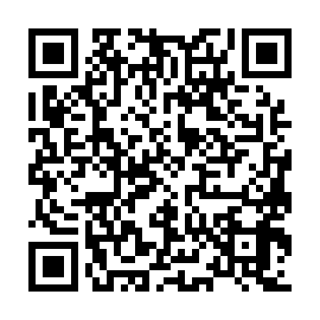 QR code for H871994