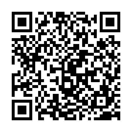 QR code for H87226
