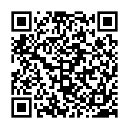 QR code for H87337