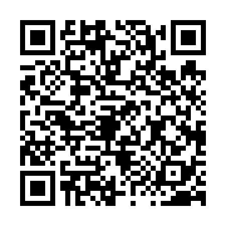QR code for H906388