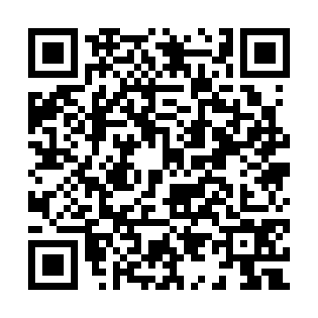 QR code for H913743