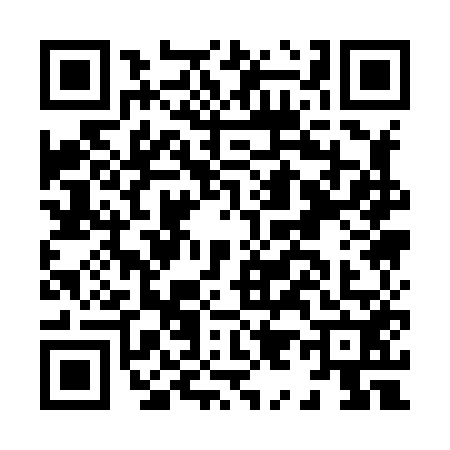 QR code for H918520