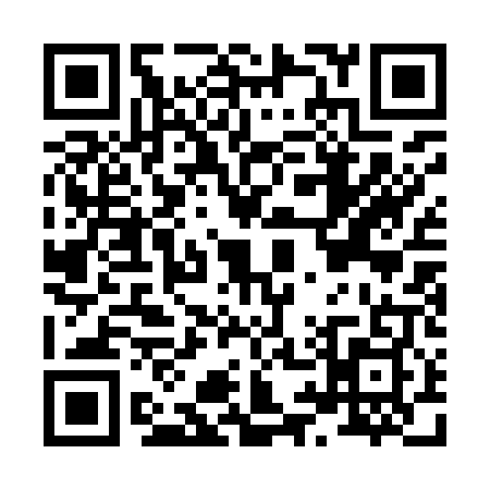 QR code for H919095