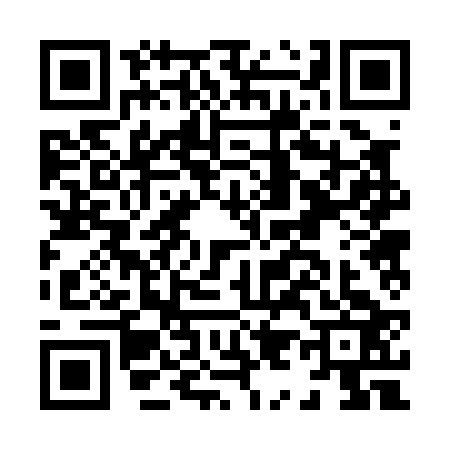 QR code for H920238