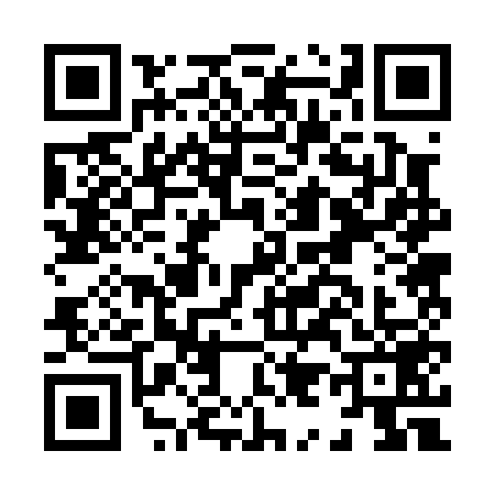 QR code for H920595