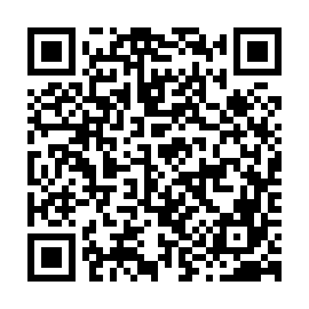 QR code for H93866
