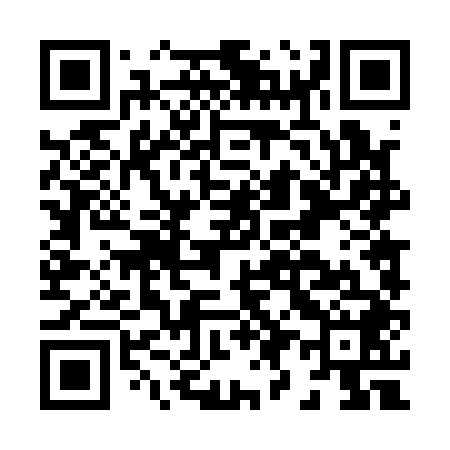 QR code for H94148