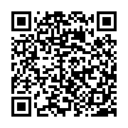 QR code for H94250