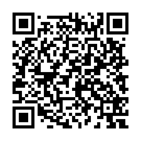 QR code for H94529