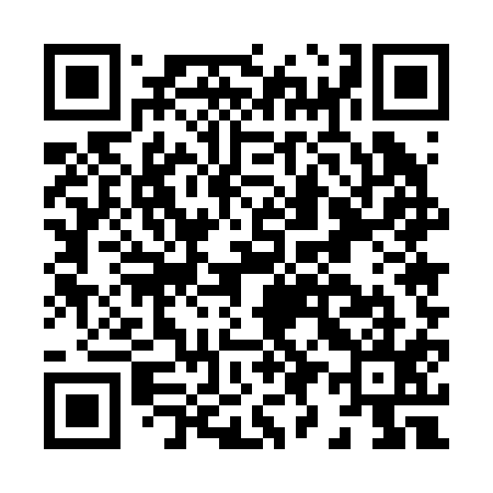QR code for H95215