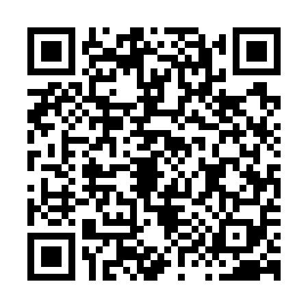 QR code for H957593