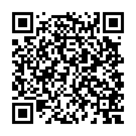 QR code for H96048