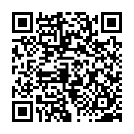QR code for H963241