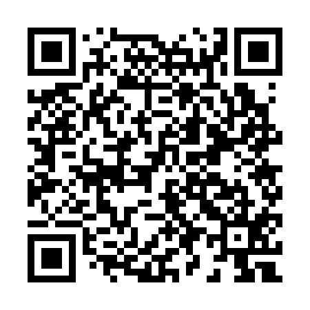 QR code for H97315
