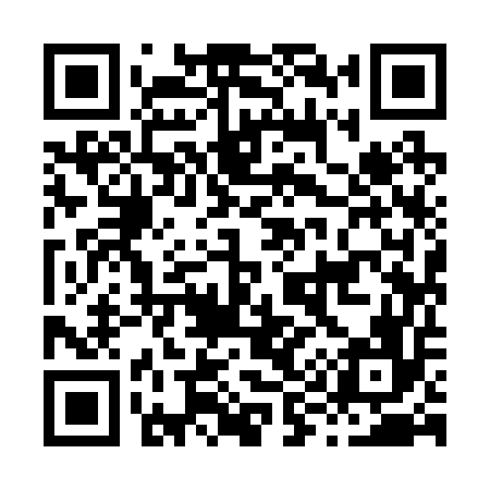 QR code for H99256