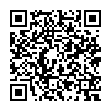 QR code for H993224