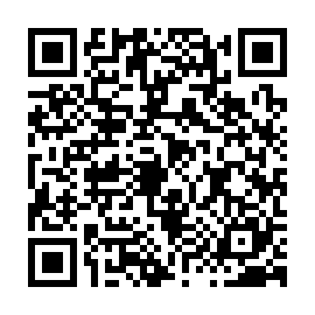 QR code for H993250