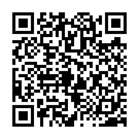 QR code for H996119