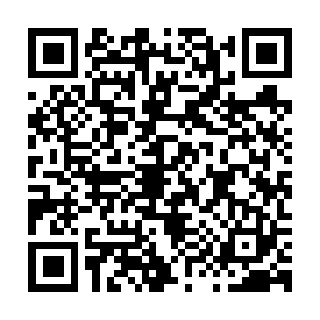 QR code for H996231