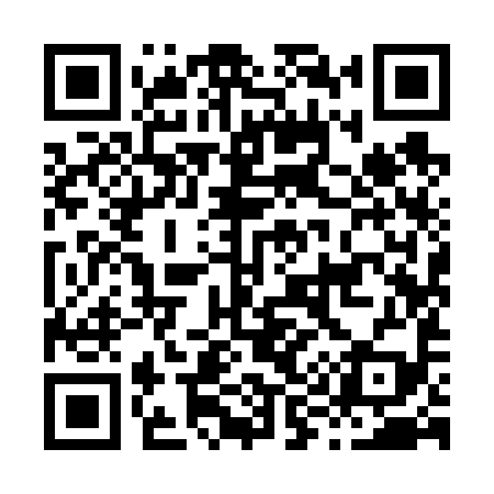 QR code for H99699