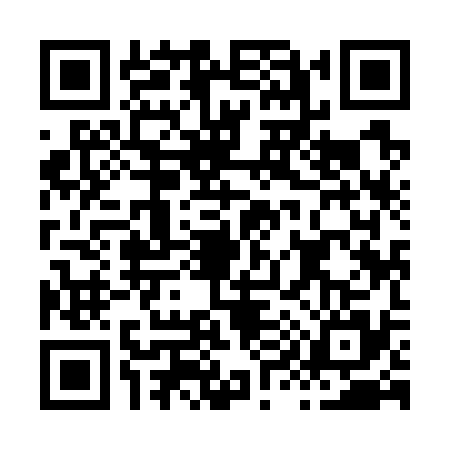 QR code for H997357